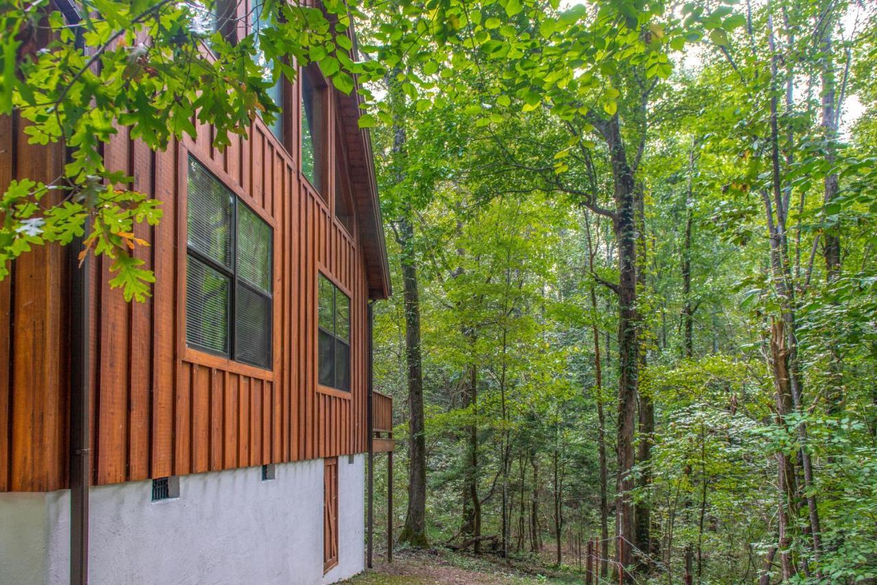 Friendly Bear Cabin Pigeon Forge Kültér fotó